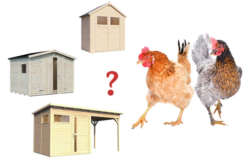 Gartenhaus als Hühnerstall? Symbolbild